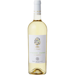 ɤ12ܤ̵(ϰ)롦ס⡡˥ ޥ/ƥ͡󡦥ޥĥΡ750ml